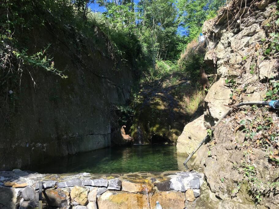 Sette - Villino Lorenzo Villa Viani Dış mekan fotoğraf
