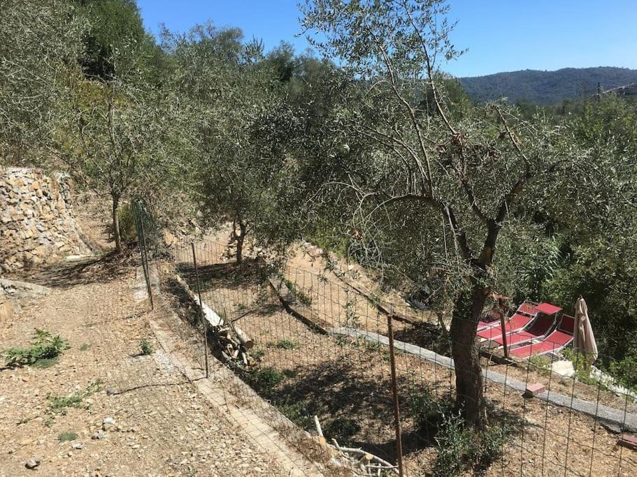 Sette - Villino Lorenzo Villa Viani Dış mekan fotoğraf